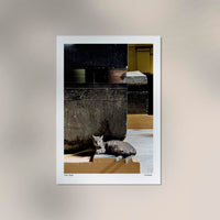 Cat in Cairo Poster by Cannanas – Illustration Fine Art | Urban Exotic — Ansicht 3