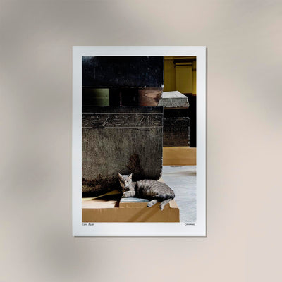 Cat in Cairo Poster by Cannanas – Illustration Fine Art | Urban Exotic