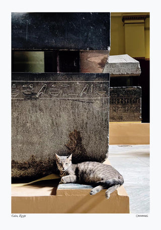 Cat in Cairo Poster by Cannanas – Illustration | Urban Exotic | Fine Art