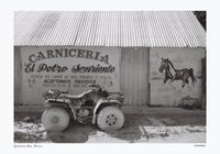 Sale: Quintana Roo, Mexico Poster by Cannanas – S Size Fine Art Print — Ansicht 2