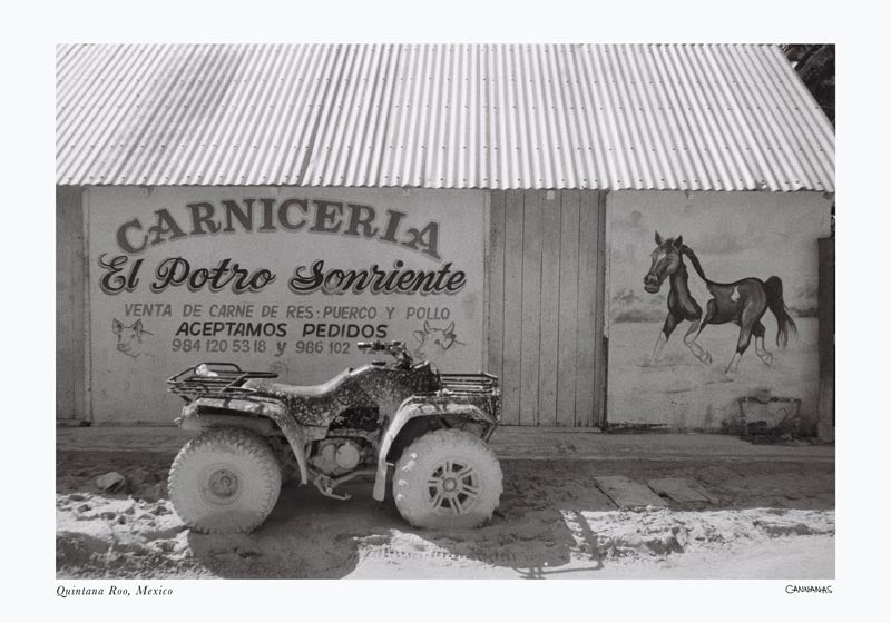 Sale: Quintana Roo, Mexico Poster by Cannanas – S Size Fine Art Print — Ansicht 2