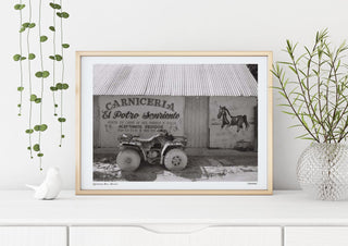 Sale: Quintana Roo, Mexico Poster by Cannanas – S Size Fine Art Print