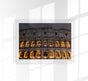 Coliseum Rome, Italy Poster – Cannanas Kunstdruck