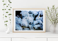 Jellyfish in Berlin – Fine Art Print Cannanas S Size — Ansicht 1