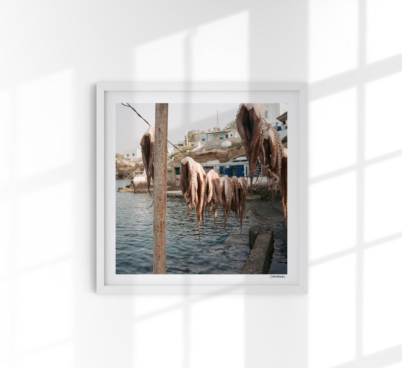 Greek Octopus by Cannanas – Kunstdruck auf Archivpapier — Patroa Studio