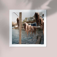 Greek Octopus by Cannanas – Kunstdruck auf Archivpapier — Ansicht 3