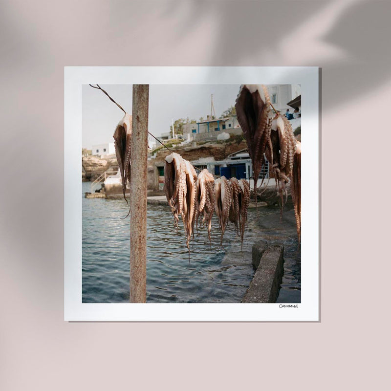 Greek Octopus by Cannanas – Kunstdruck auf Archivpapier — Ansicht 3