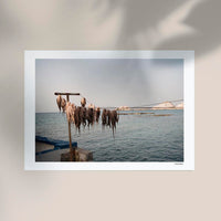 Octopus in Milos Poster by Cannanas – Kunstdruck Berlin — Ansicht 3