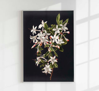 Branch of Azaleas in Bloom – Botanischer Druck | Fine Art | Canvas