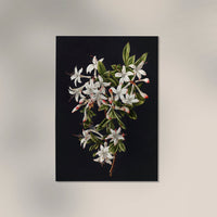 Branch of Azaleas in Bloom – Botanischer Druck Fine Art Canvas — Ansicht 3