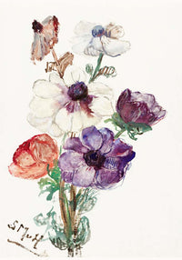 New Year's Greeting with Anemones Botanical Art Print – Patroa Studio — Ansicht 4