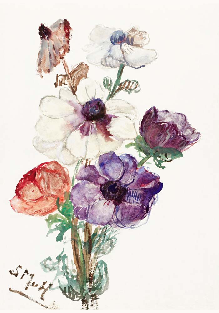 New Year's Greeting with Anemones Botanical Art Print – Patroa Studio — Ansicht 4
