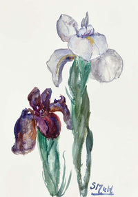 Irises by Sientje Mesdag-van Houten Botanical Poster – Kunstdruck Berlin — Ansicht 4