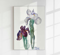 Irises by Sientje Mesdag-van Houten Botanical Poster – Kunstdruck Berlin — Ansicht 1