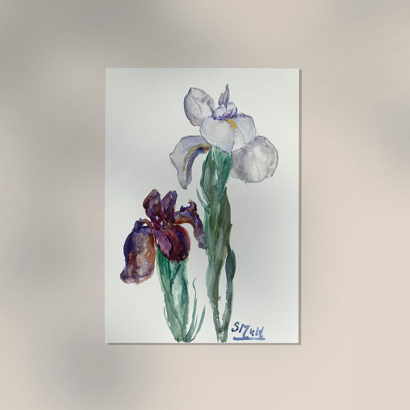 Irises by Sientje Mesdag-van Houten Botanical Poster – Kunstdruck Berlin — Ansicht 3