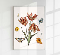 Flowers, butterflies and a fly – Botanical art print by Johan Teyler — Ansicht 1