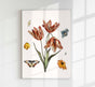 Flowers, butterflies and a fly – Botanical art print by Johan Teyler