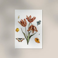 Flowers, butterflies and a fly – Botanical art print by Johan Teyler — Ansicht 3
