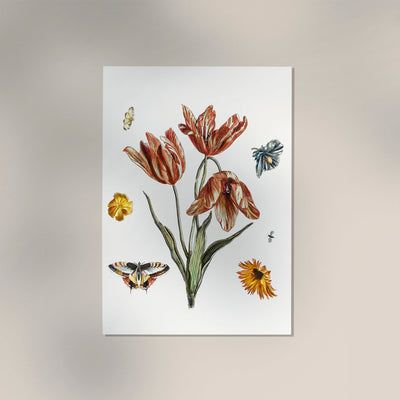 Flowers, butterflies and a fly – Botanical art print by Johan Teyler