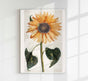 Sunflower by Johan Teyler Botanical Poster – Kunstdruck auf Feingrafie-Papier