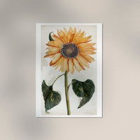 Sunflower by Johan Teyler Botanical Poster – Kunstdruck auf Feingrafie-Papier — Ansicht 3