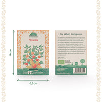 BIO-Saatgut Physalis – samenfest, EU-zertifiziert — Ansicht 4