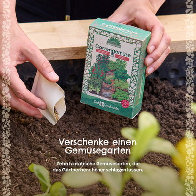 BIO-Saatgut-Set „Gartengemüse“ – 10 samenfeste Sorten