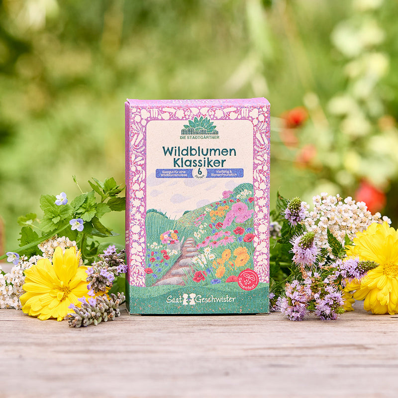 Saatgut-Set „Wildblumen“ – 6 samenfeste Sorten — Die Stadtgärtner