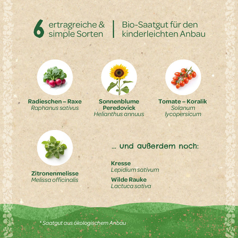 Organic Seed Set "Children's Garden" – 6 open-pollinated varieties for young gardeners — Ansicht 4