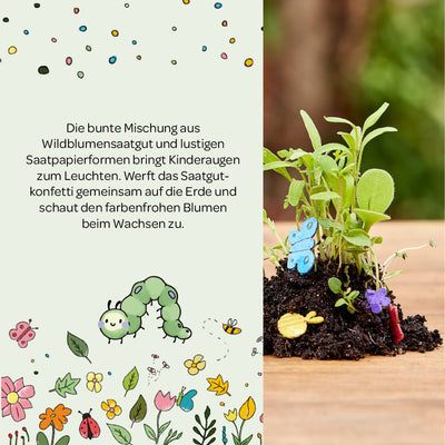 Buntes Saatgutkonfetti – Wildblumen & Saatpapierformen
