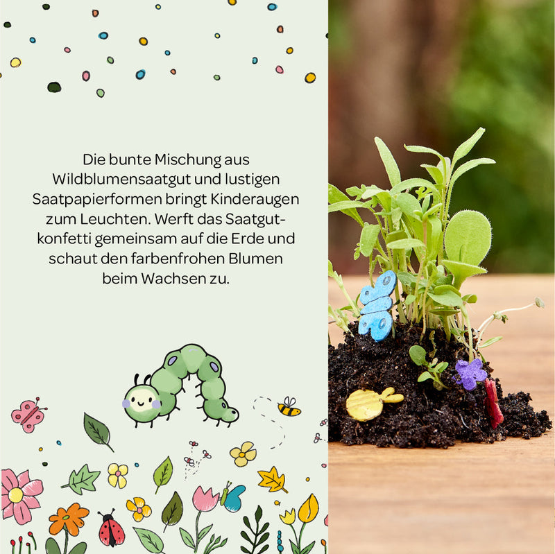 Buntes Saatgutkonfetti – Wildblumen & Saatpapierformen — Ansicht 4