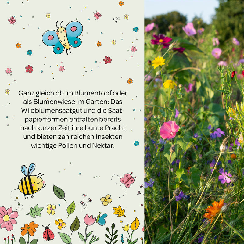 Set of 10 Colorful Seed Confetti Packets – Handmade Wildflower Mix — Ansicht 7
