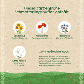 Saatkugeln "Schmetterlingswiese"