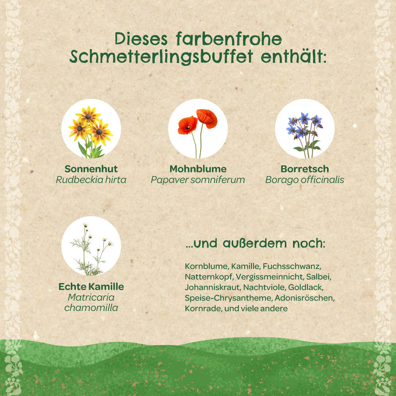 Seed balls "Butterfly Meadow" - handcrafted wildflower mix — Ansicht 3