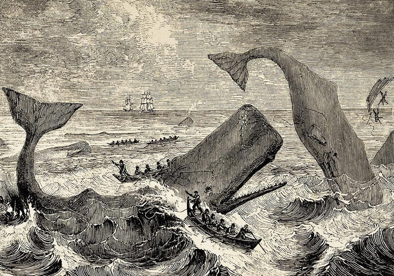 Scene Moby Dick Poster Handgefertigt Berlin | Literarische Dramatik — Ansicht 3