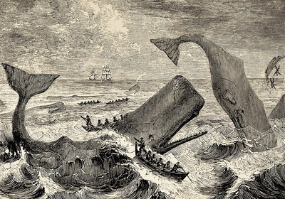 Scene Moby Dick Poster Handgefertigt Berlin | Literarische Dramatik