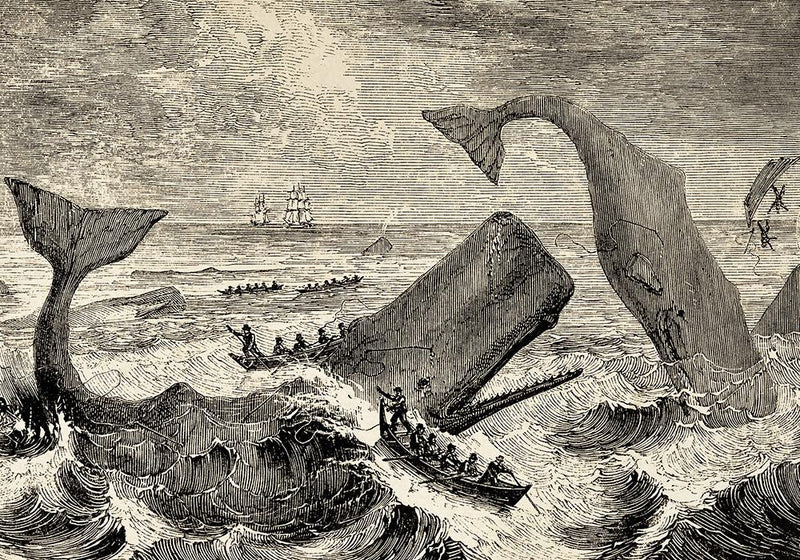 Scene Moby Dick Poster Handgefertigt Berlin | Literarische Dramatik — Ansicht 3
