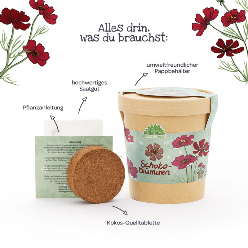 Chocolate Flower Growing Kit – Fragrant blooms in a cup — Ansicht 6