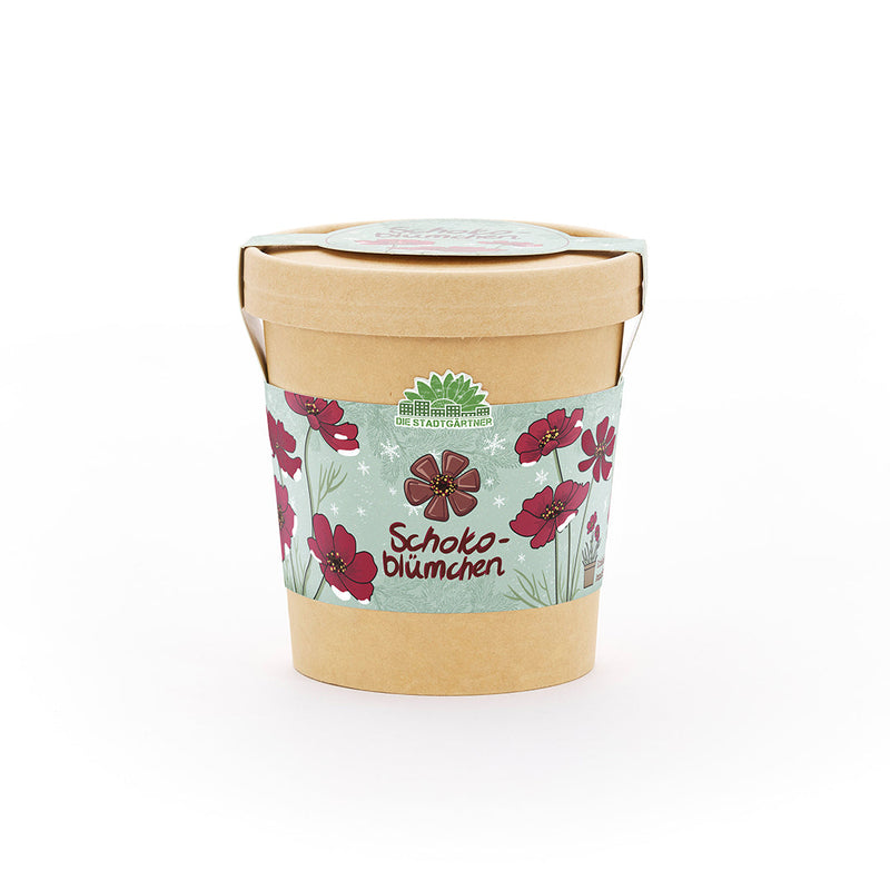 Chocolate Flower Growing Kit – Fragrant blooms in a cup — Ansicht 2