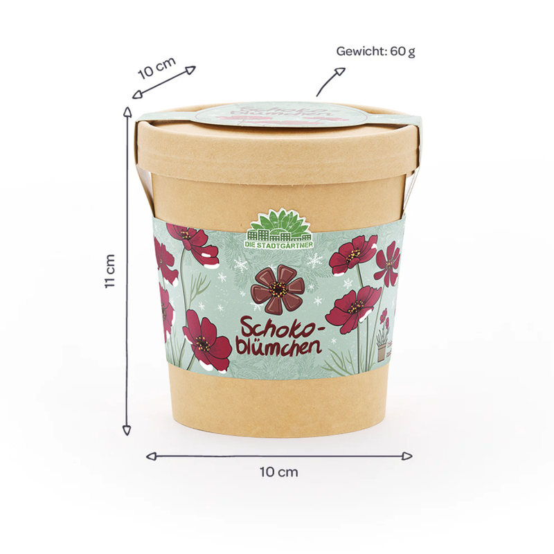 Chocolate Flower Growing Kit – Fragrant blooms in a cup — Ansicht 5