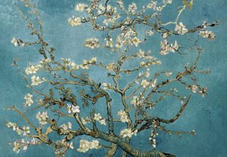 Almond Blossom – Van Gogh | Blossom Poster | Fine Art