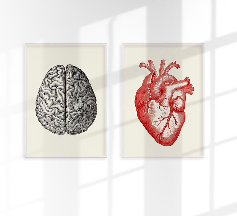 Heart & Brain Set of 2 Prints – Fine Art Poster Duo Atelierdruck Berlin — Patroa Studio