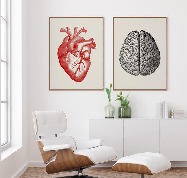 Heart & Brain Set of 2 Prints – Fine Art Poster Duo Atelierdruck Berlin