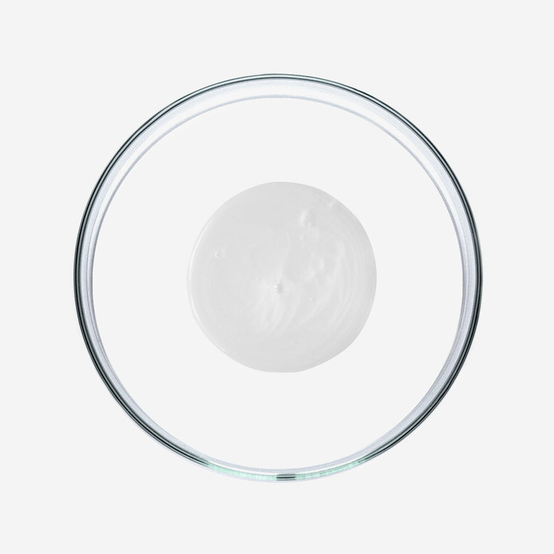 sober Daily Revival Shampoo – Ectoin & Biotin für kräftiges Haar — Ansicht 3
