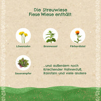Streuwiese „Fiese Wiese“ – Saatgut Heimische Wildkräuter — Ansicht 3