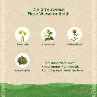 Streuwiese "Fiese Wiese"