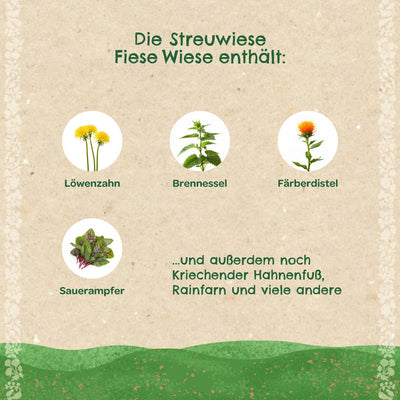 Streuwiese „Fiese Wiese“ – Saatgut Heimische Wildkräuter