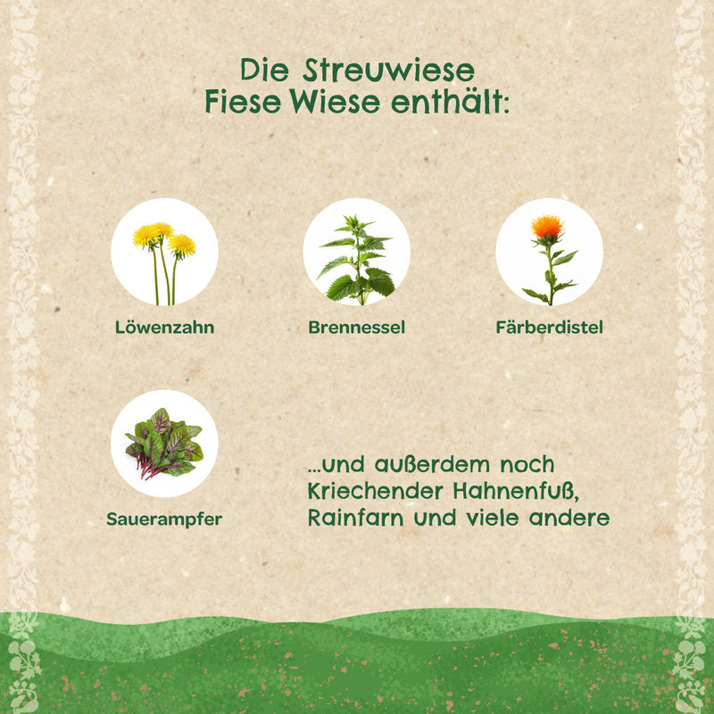 Streuwiese „Fiese Wiese“ – Saatgut Heimische Wildkräuter — Ansicht 3