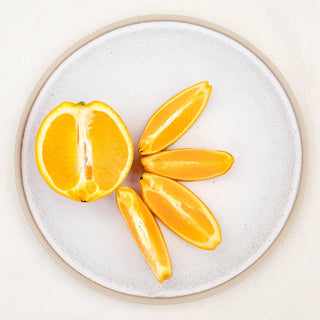 Aalina Teller klein – Steingut | Beige-Weiß | Handgefertigt