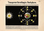 Moon Phases Astronomical Chart – Vintage Lithograph Poster
